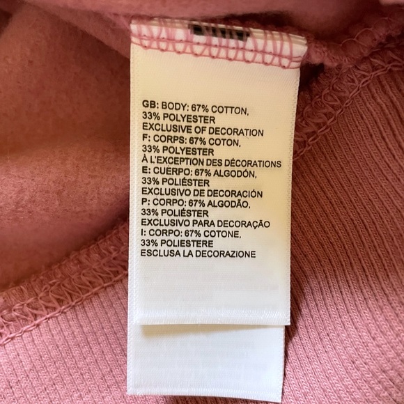 The North Face Women’s 80/20 Half Dome Pullover Hoodie In Mesa Rose - Picture 4 of 6